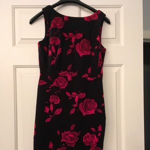 Talbot Velour rose dress